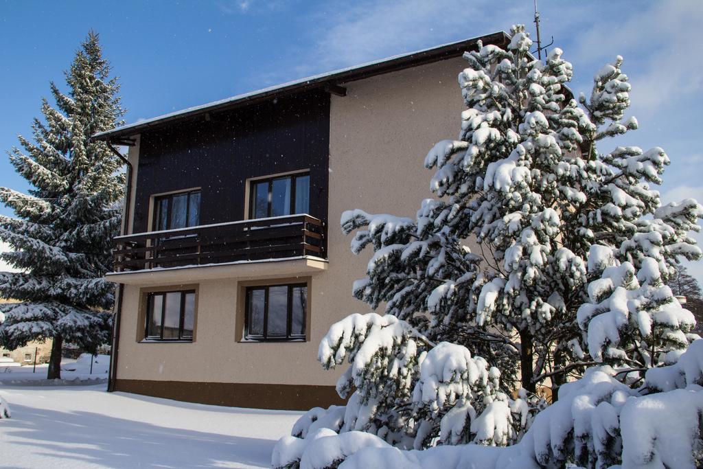 Apartmány Olešnice Olesnice v Orlickych horach Exterior foto